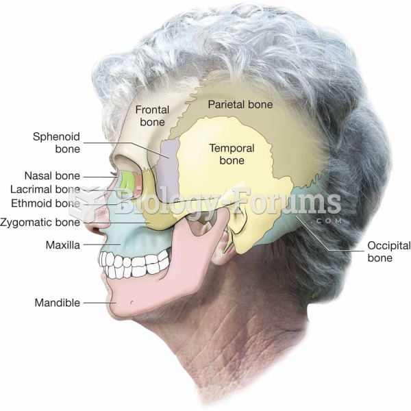 Side view of the cranium and facial bones.