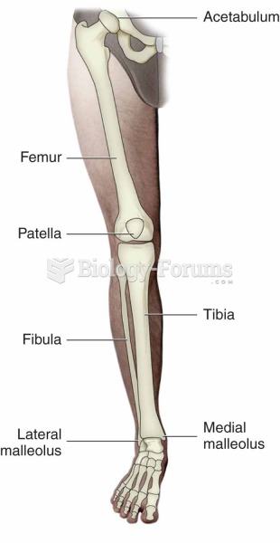 Bones of the lower extremity.