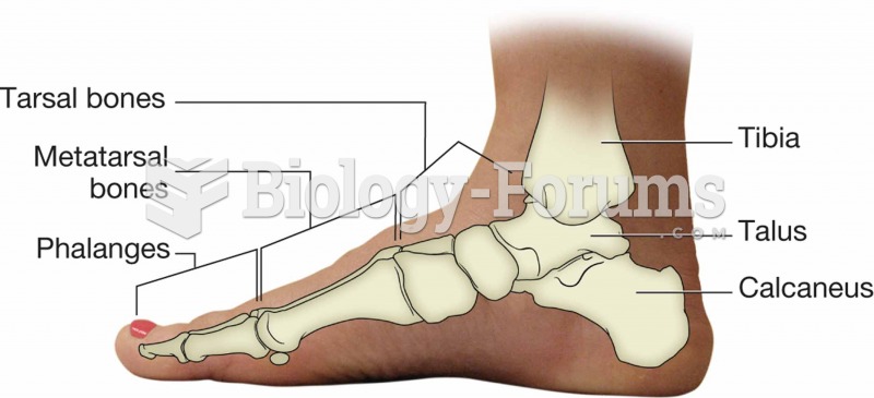 Bones of the ankle and foot.