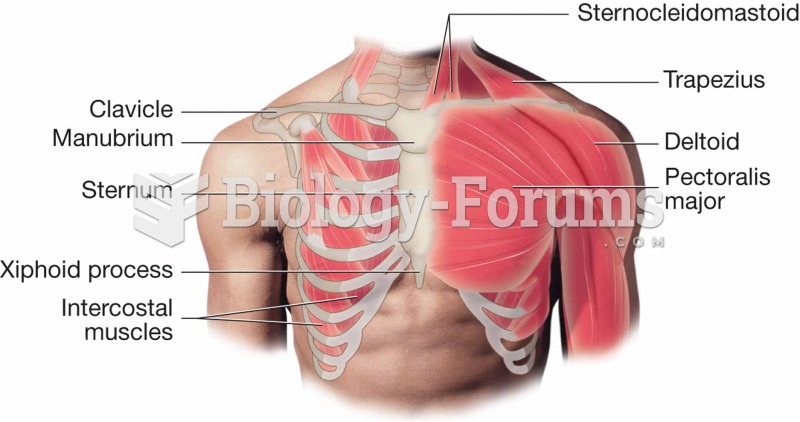 Muscles of the shoulders and chest.