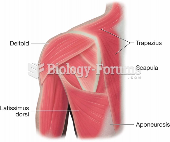 Muscles of the shoulder and back.