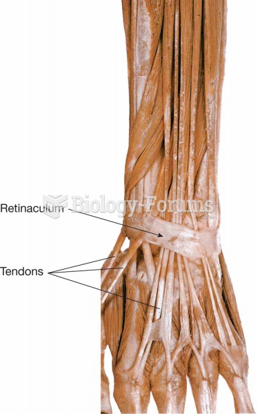 Muscles of the ¬forearm and the retinaculum.