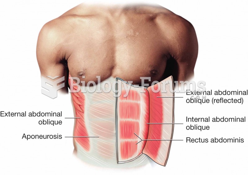 Muscles of the abdomen.