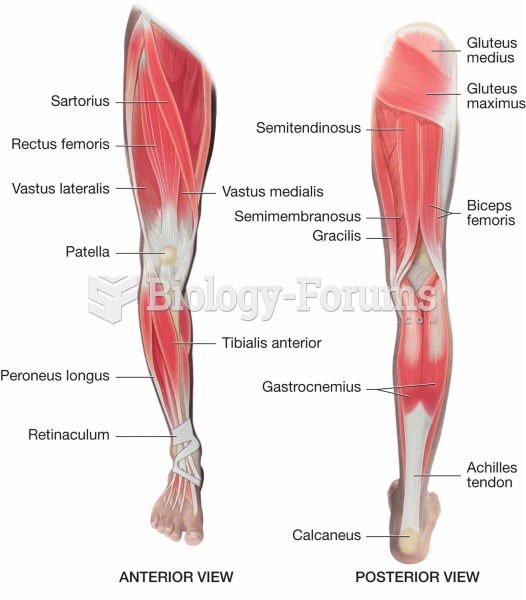 Muscles of the lower extremity.