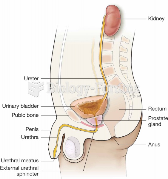 Female urinary system.