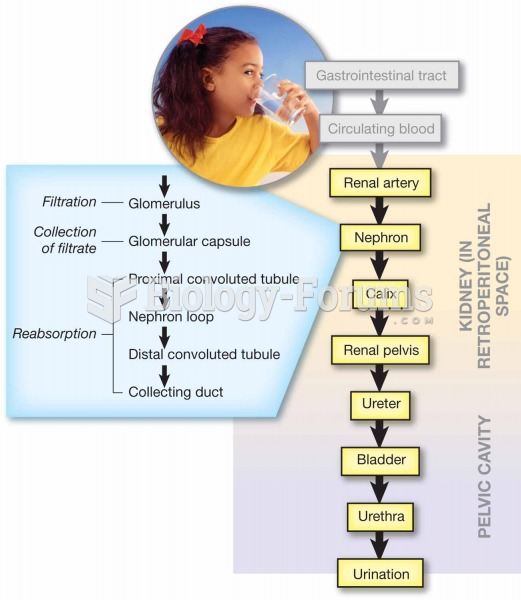 Pathway of urine production and elimination.  