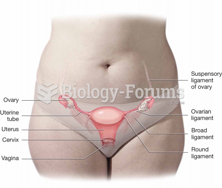 Ovaries, uterine tubes, and uterus.