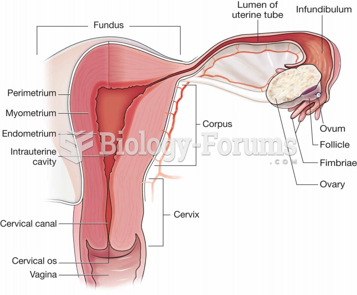 Uterus.