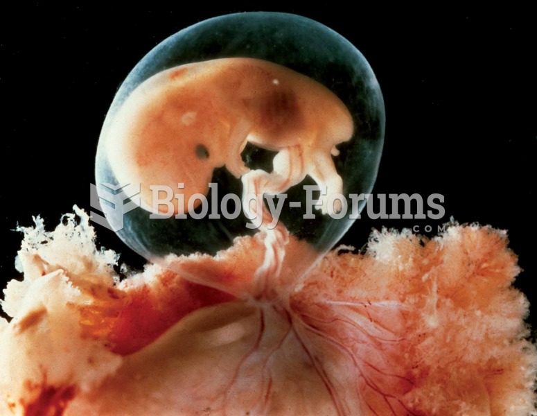 Fetus at 9 weeks’ gestation.
