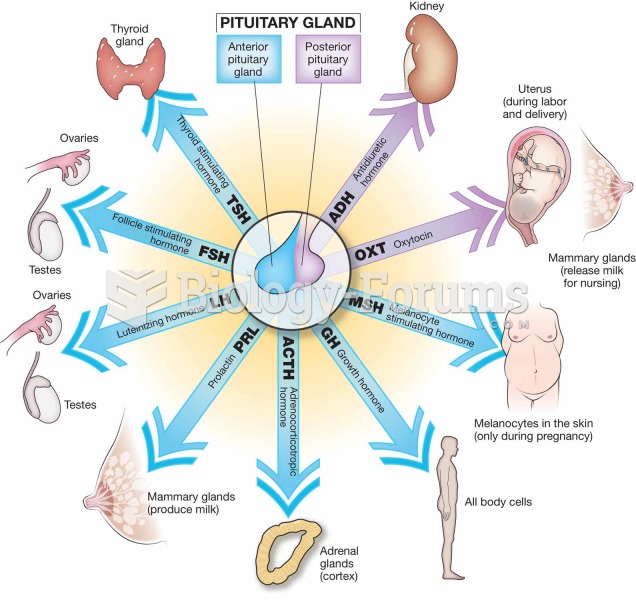 Hormones of the anterior and posterior pituitary gland.