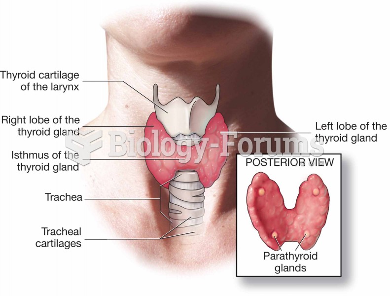 Thyroid gland and parathyroid glands.