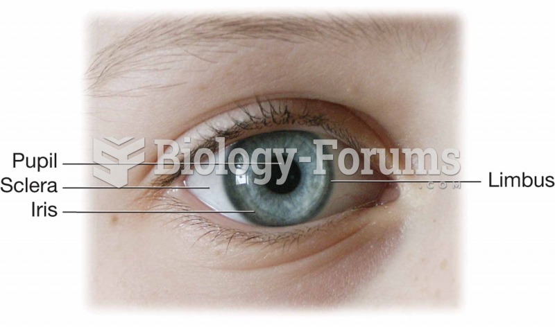 Anterior surface of the eye.