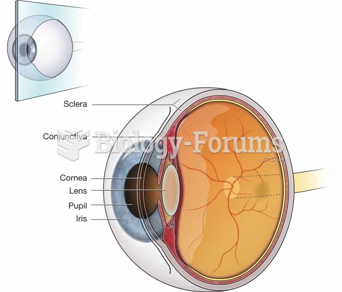 Internal structures at the front of the eye.