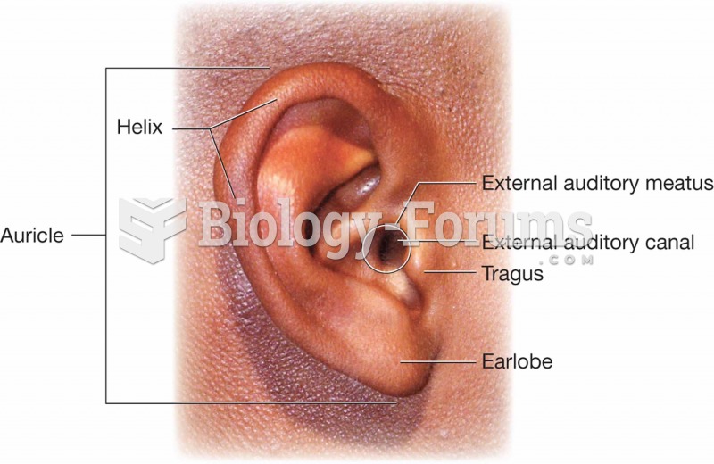 External ear.