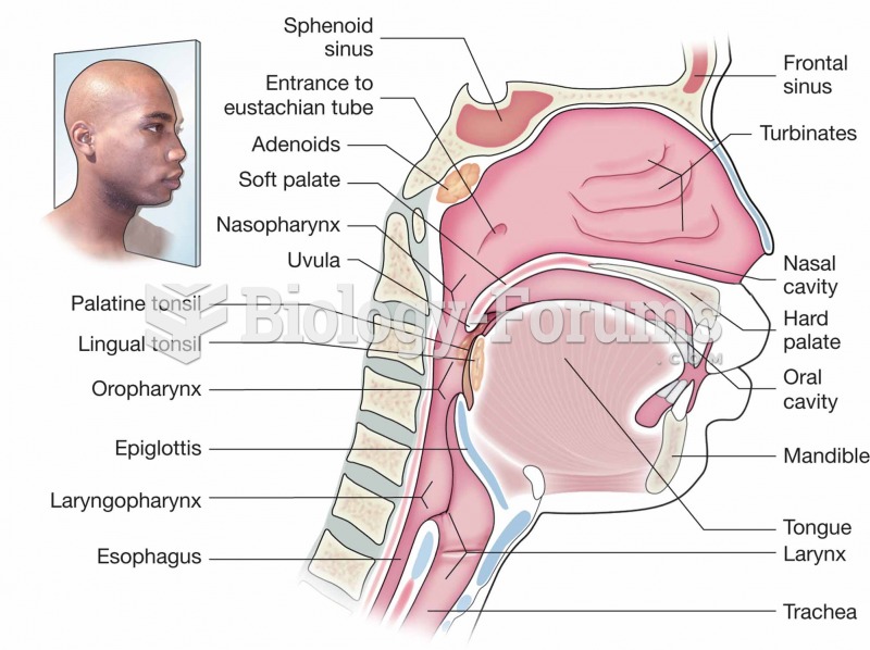 Structures of the internal nose, mouth, and throat.