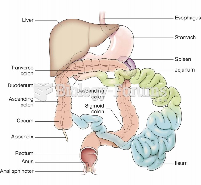 Small and large intestines