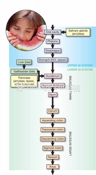 Gastrointestinal system