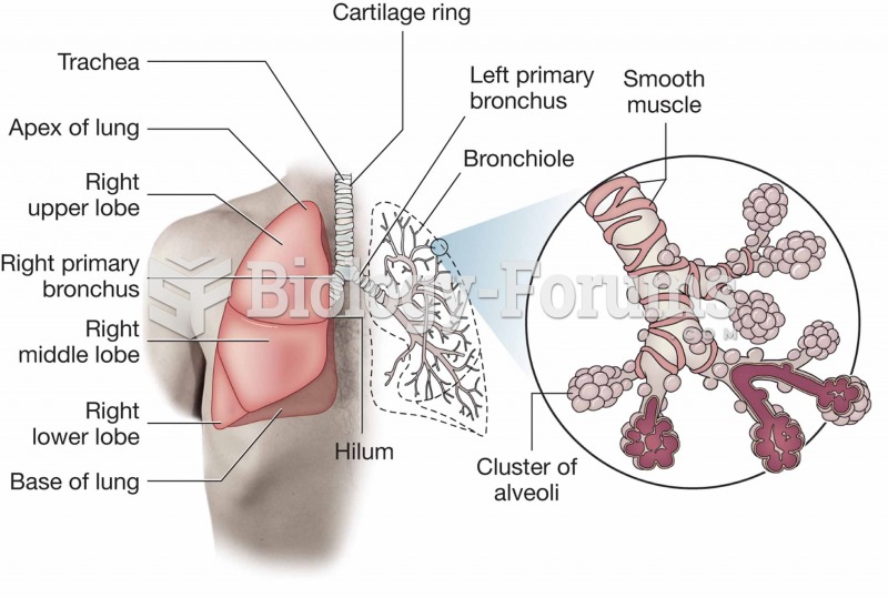 Trachea, lung, bronchi, bronchioles, and alveoli