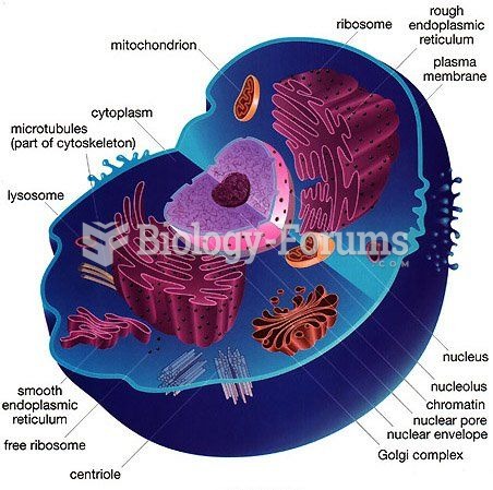 animal cell biology