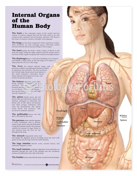 internal organs chart