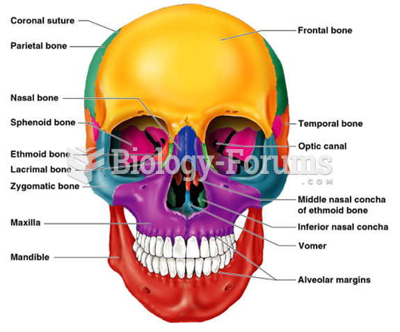 Skull Frontal View Labeled