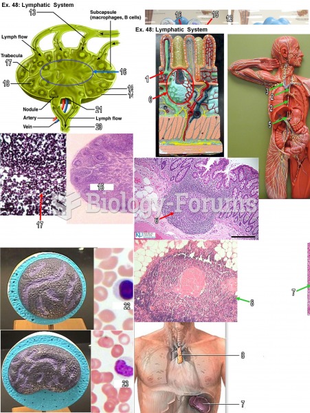 lymphatic system