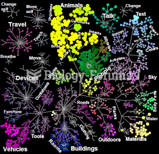 brain sorts what we see