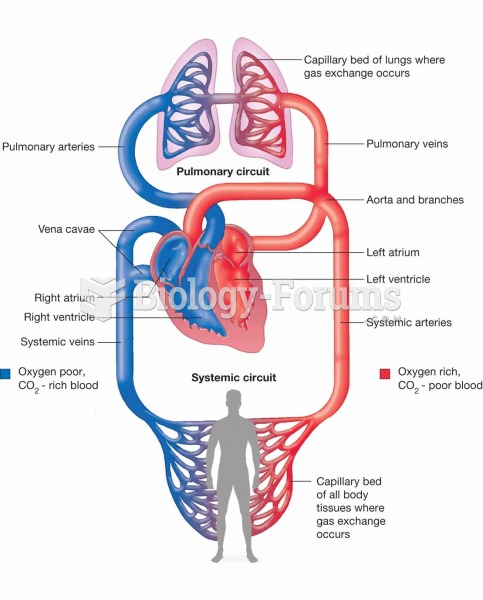 Schematic overview of the cardiovascular system.