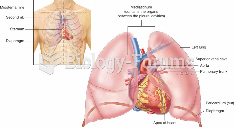 Location of the heart in the chest cavity.