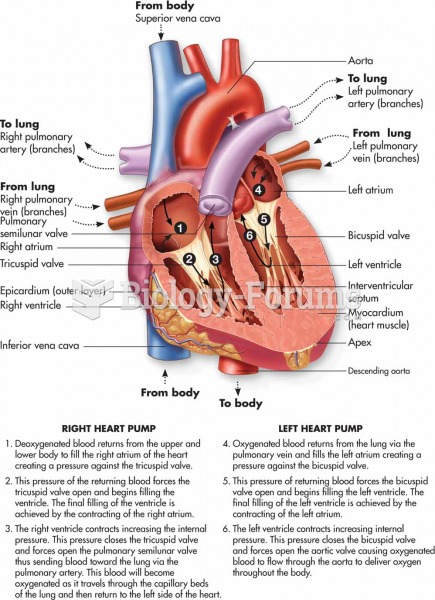 The functioning of the heart valves and blood flow.