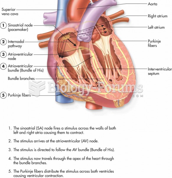 Conduction system of the heart.