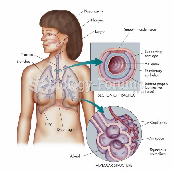 The respiratory system: nasal cavity, pharynx, larynx, trachea, bronchus, and lung with expanded vie