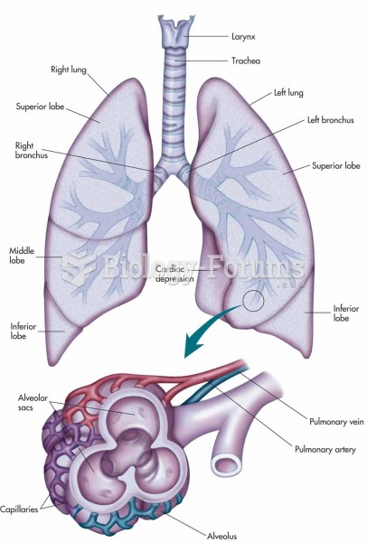 Larynx, trachea, bronchi, and lungs with an expanded view showing the structures of an alveolus and 