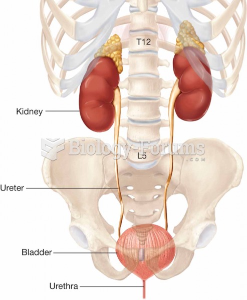 Position of the urinary organs.