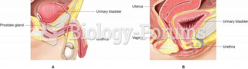 (A) The male urethra. (B) The female urethra.