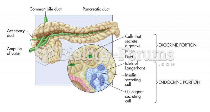 Pancreas—an endocrine and exocrine gland.