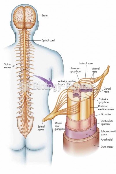 Brain, spinal cord, and spinal nerves with an expanded view of a spinal nerve.