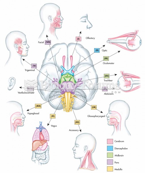 Relationship of the 12 cranial nerves to specific regions of the brain.