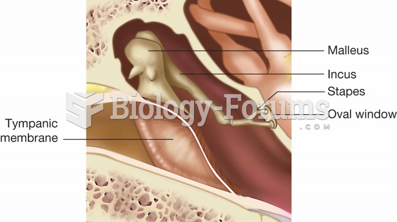 The ossicles of the middle ear along with the oval window and tympanic membrane.