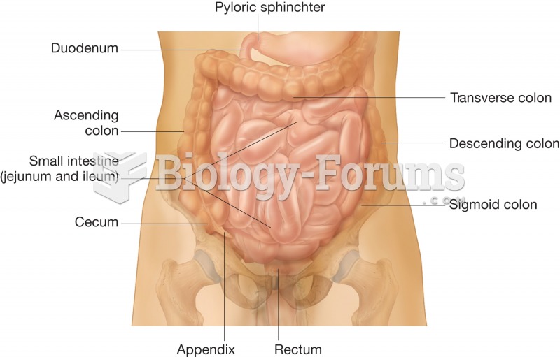 The small intestine. Anterior view of the abdominopelvic cavity illustrating how the three sections 