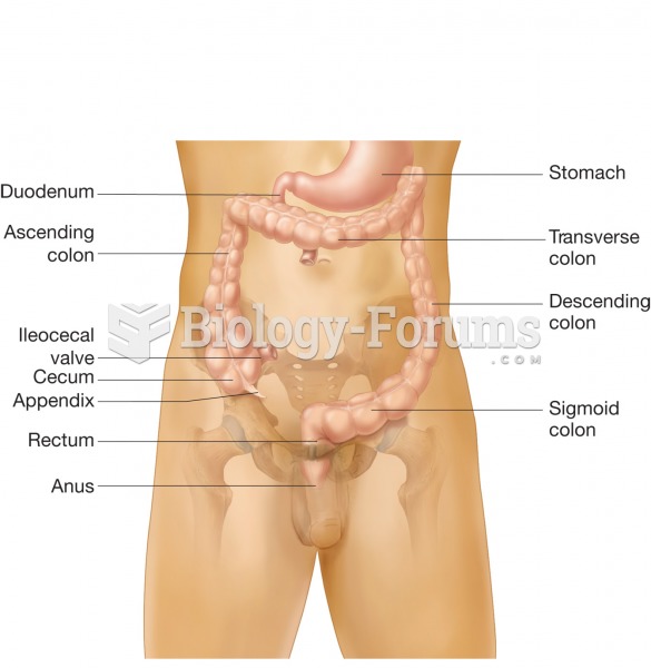 The regions of the colon beginning with the cecum and ending at the anus. 