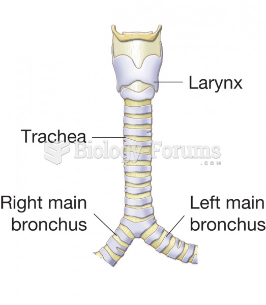 Structure of the trachea, which extends from the larynx above to the main bronchi below. 