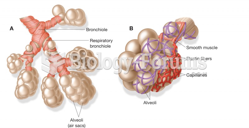 (A) Each bronchiole terminates in an alveolar sac, a group of alveoli; (B) alveoli encased by networ