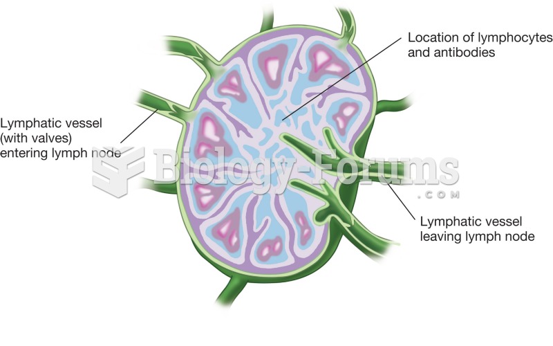 Structure of a lymph node