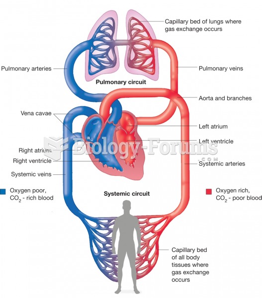 A schematic of the circulatory system illustrating the pulmonary circulation picking up oxygen from 