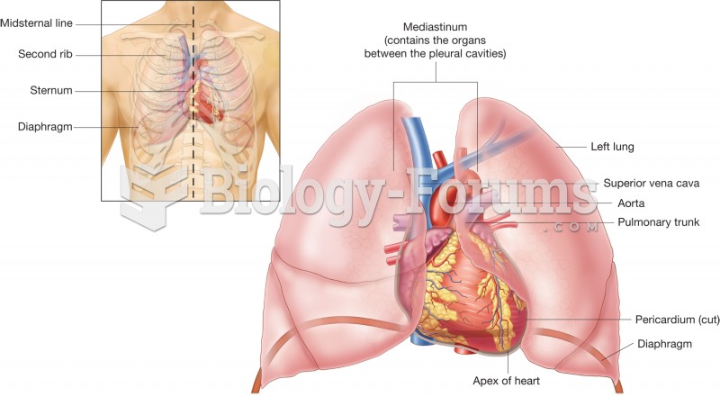 Location of the heart within the mediastinum of the thoracic cavity. 