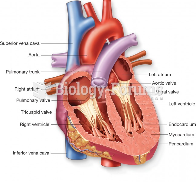 Internal view of the heart illustrating the heart chambers, heart layers, and major blood vessels as