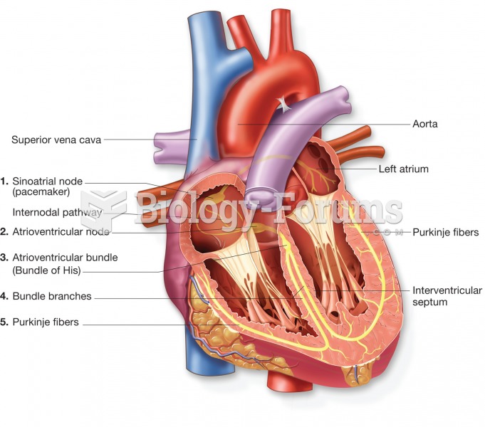 The conduction system of the heart; traces the path of the electrical impulse that stimulates the he