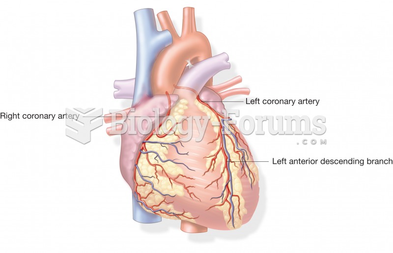 The coronary arteries. 