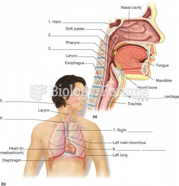 The respiratory system. (a) Sagittal section of the head and neck, revealing the organs of the upper